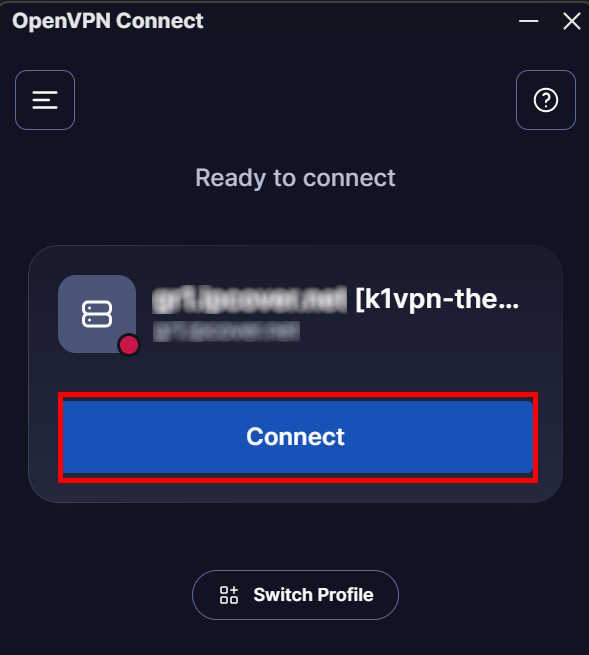 OpenVPN® Connect - connection screen with server